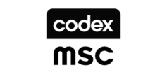 Codex